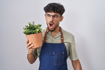 Sticker - Arab man with beard holding green plant pot angry and mad screaming frustrated and furious, shouting with anger. rage and aggressive concept.