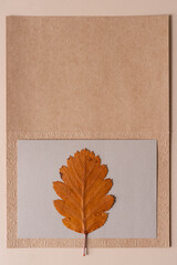 Wall Mural - autumn leaf isolated on blank cards