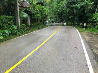 Wall Mural - road in the forest