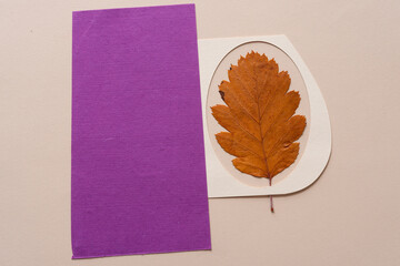 Sticker - autumn leaf and oval paper with blank purple paper