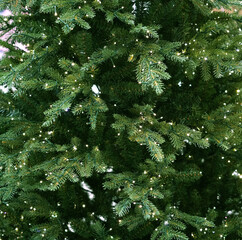 Close up on Christmas tree with light