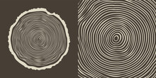 Round Tree Trunk Cut, Sawn Pine Or Oak Slice. Saw Cut Timber, Wood. Brown Wooden Texture With Tree Rings. Hand Drawn Sketch. Vector Illustration