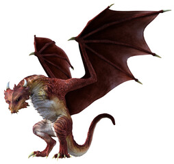 Wall Mural - 3d rendered red wyvern - a bipedal dragon isolated on transparent background - 3d illustration