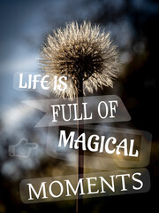 Inspirational and motivational quote Life is full of magical moments, on natural background
