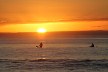 Kayakers And Paddle Boarder Enjoy The Sunsets On A New Zealand Beach