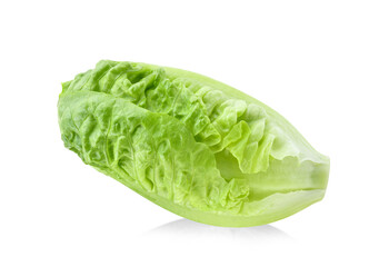 Poster - fresh baby cos (lettuce) on white background