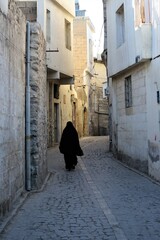 Wall Mural - narrow street in the town