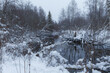 The small river with snow around it and a forest near covered with snow in winter