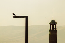 Silhouette Birds On A Street Lamp On A Yellow Sky Background. Arkapaln Clock Tower. Erzurum, Turkey.