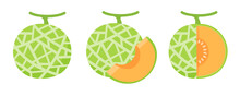 Vector Cantaloupe. Juicy Orange Fleshy Fruit. Sliced ​​cantaloupe Fruit