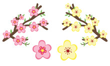 Vector Set Of Chinese New Year Flower Blossom Clipart. Simple Cute Pink And Yellow Flowers Peach Blossom And Ochna Integerrima Flat Vector Design Illustration Cartoon. Asian Lunar New Year Concept