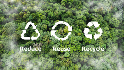 reduce, reuse, recycle symbol in the middle of a beautiful untouched jungle. ecological concept. an 