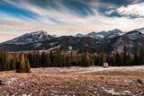 Fototapeta Storczyk - panorama of the Tatra Mountains