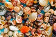 Flat Lay wallpaper background image of coastal seashells on a bl