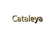 mockup name Cataleya