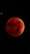 Clear vertical view of the lunar eclipse in the dark sky - red moon