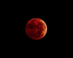 clear view of the lunar eclipse in the dark sky - red moon