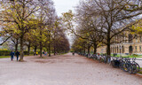 Fototapeta Sawanna - Hofgarten garden view in Munih City