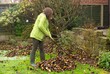 Gathering the leaves in the back garden.