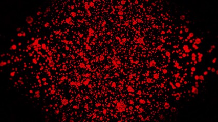 Wall Mural - Abstract shining red particles flying on a black background. Motion. Tiny particles looking like snowflakes.