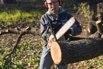 Wall Mural - Work on sawing wood. A man with a chainsaw. Selective focus.