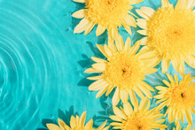 Yellow Chrysanthemum Flowers On Blue Water Background With Water Bubbles. Top View, Copy Space