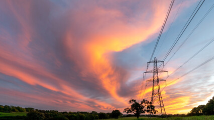 Wall Mural - electrical power lines and towers at sunset.
