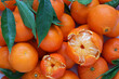 Mandarin oranges fruit with a decoratively peeled piece and with fresh leaves. Detailed top view. Close up photo.