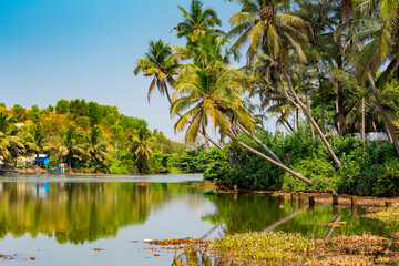 Wall Mural - Kerala backwaters, India. Boats on the canals	