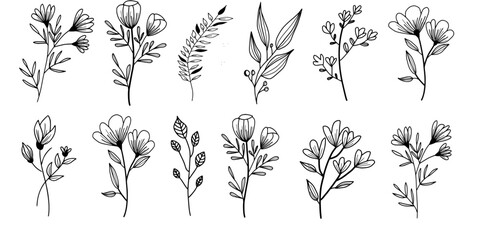 Wall Mural - Wild flowers and herbs hand drawn set. Volume 1. Botany. Vintage flowers. Vintage vector illustration.