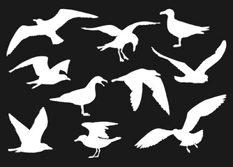 Wall Mural - Set of silhouette of flying seagulls. Hand drawn illustration converted to vector.