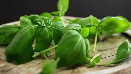 Poster - Fresh green basil leaves on a wooden board, close up view