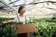 Happy Young Gardener With Box Of Flowers Working In Greenhouse