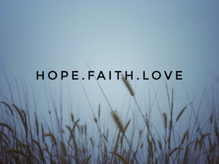 Wall Mural - Motivational and inspirational wording. Hope, Faith, Love written on blurred styled background of reeds view.
