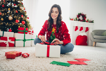 Poster - Photo of adorable lovely lady on fluffy carper floor cozy room house make order for clients own online shop handicraft toys