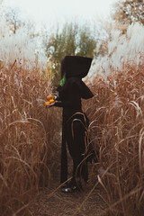 Poster - Lady in black apparel scenic photography. Gothic wear. Picture of woman with autumn field on background. High quality wallpaper. Photo concept for ads, travel blog, magazine, article