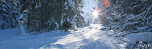 Winter Landscape With Forest And Sun Shines Through Snow Covered Trees.