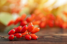 Barberry, Berberis Vulgaris, Branch With Natural Fresh Ripe Red Berries On Wooden Background.