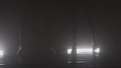 Wall Mural - Modern ballet dancers performing together on dark stage. Silhouette of couple of performers with smoke in the air.