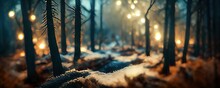 Dreamy Winter Season Background With A Forest Landscape And Snow. Trees During The Winter Season With Warm Sunlight. Beautiful Nature Scene 3d Render.