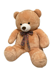 teddy bear on white