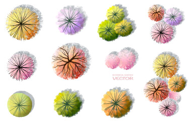 Wall Mural - vector watercolor blooming flower tree or forest top view isolated on white background for landscape