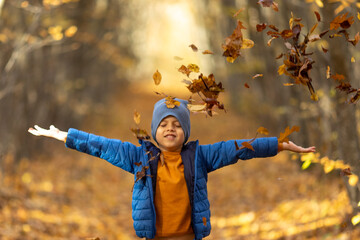 Happy little boy has fun in beautiful autumn park on warm sunny fall day. Child plays with golden maple leaves. Autumn foliage. Sun rays through the trees