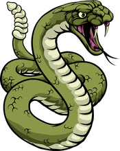 A Rattlesnake Snake Animal Sport Team Cartoon Mascot