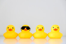 Four Yellow Rubber Ducks In A Row, One Standing Out Wearing Black Sunglasses, Organisation Concept, Get One’s Ducks In A Row. Copy Space.