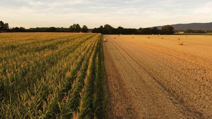 Sticker - View of agricultural planting and harvested fields with rolled haystacks at golden sunset