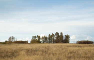wyoming landscape
