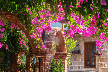 View of bougainvillea flowers in the streets of Kaleici, historical city center of Antalya, Turkey (Turkiye). Vibrant colors, scenis old street at summer day