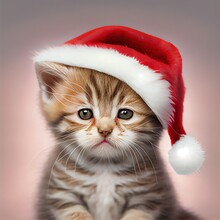 A Cute Kitten In Santa Hat