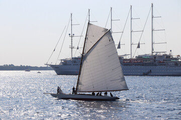 Wall Mural - Cannes Classic Sailing Event